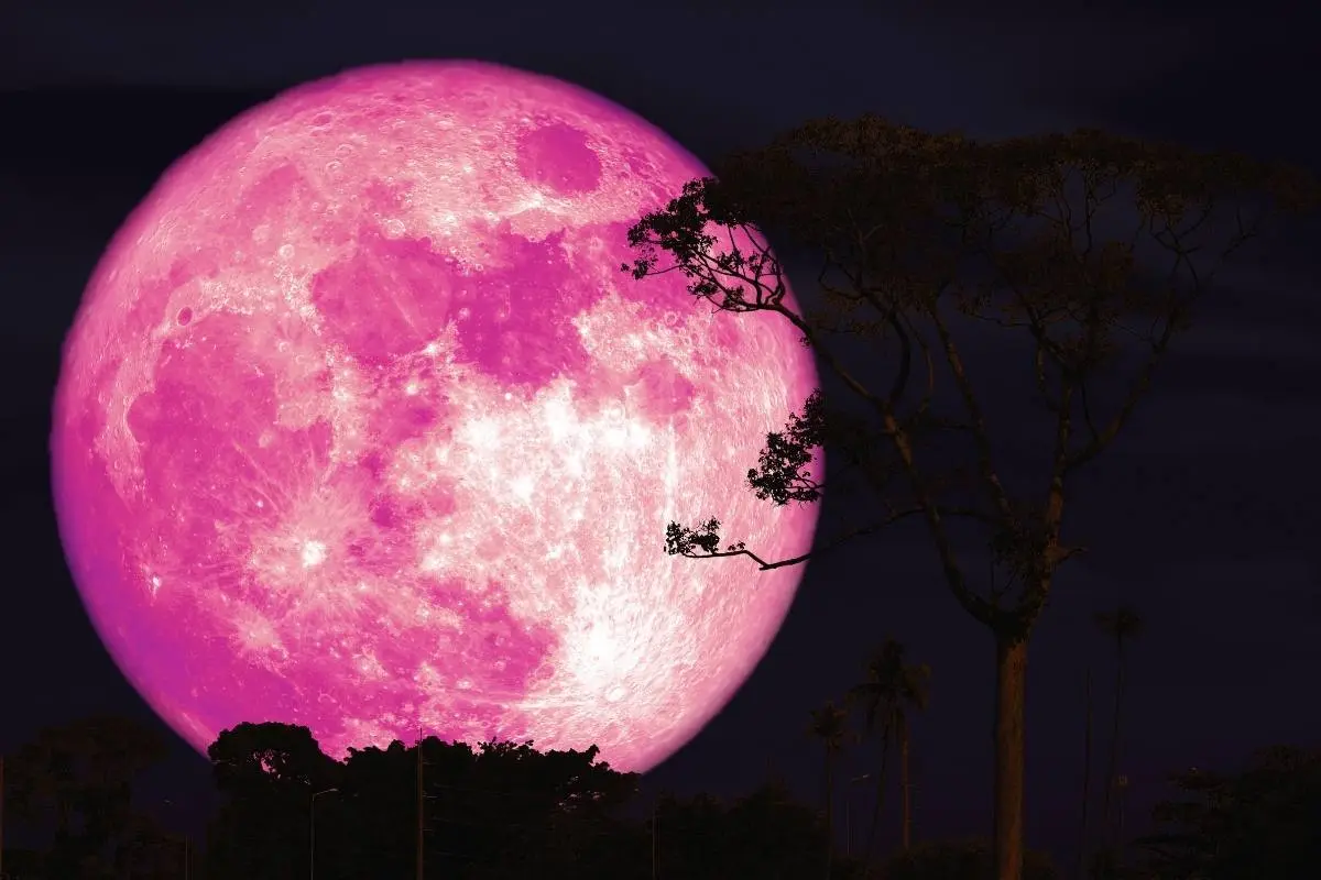 Luna Rosa