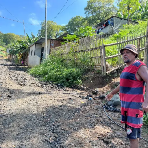 Caída de ceibo revela riesgos en asentamiento irregular en El Florón