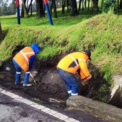 Plan de lluvias en Quito incluye limpieza vial y atención de emergencias por árboles caídos