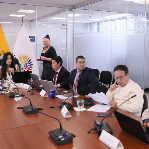 Adopciones más rápidas en Ecuador: los cambios clave que plantea la nueva ley