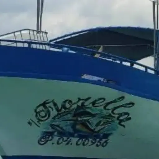 Comité de Derechos Humanos exige investigar la desaparición del barco Fiorella en altamar