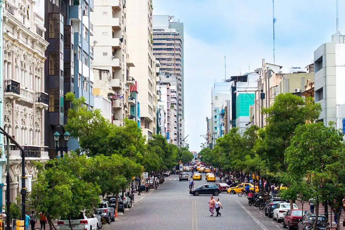 Guayaquil impulsa prevención sísmica, Municipio de Guayaquil