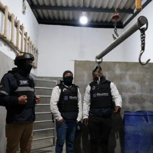 Quito clausura camal clandestino y decomisa más de 400 libras de carne porcina