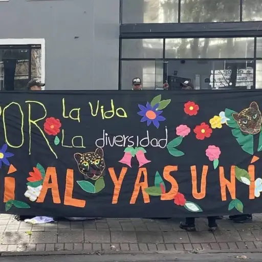 Relatora de la ONU advierte que multa de USD 18.400 a Yasunidos afecta derechos de activistas ambientales  