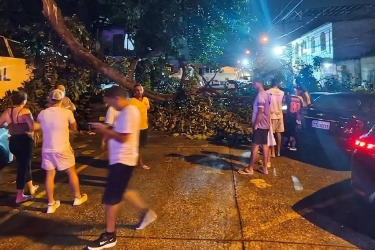 Árbol se desploma sobre dos vehículos durante las intensas lluvias en Sauces 3, Guayaquil.