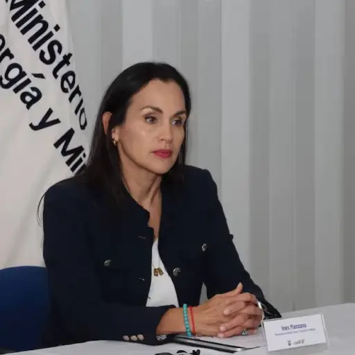 Ministra Inés Manzano suspende trabajos en distribuidoras por problemas en la red eléctrica