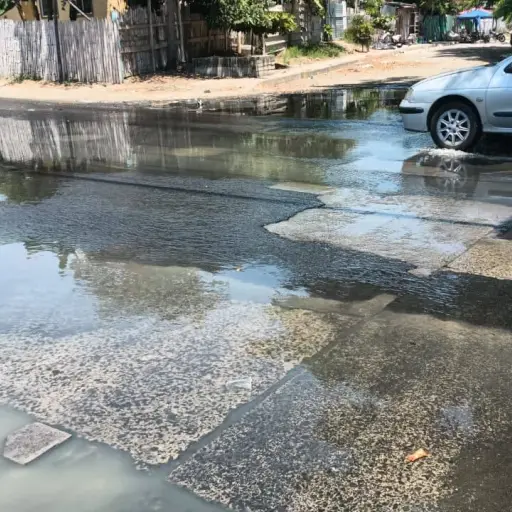 Vecinos de El Palmar denuncian rebose de aguas servidas y olores insoportables