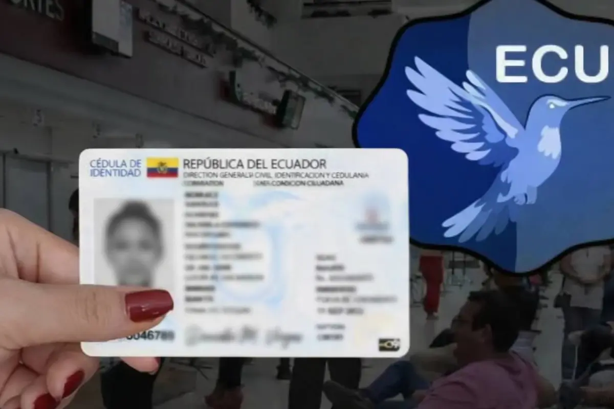 cédula
