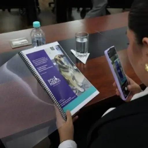 Quito contará con un manual para el cuidado responsable de perros comunitarios