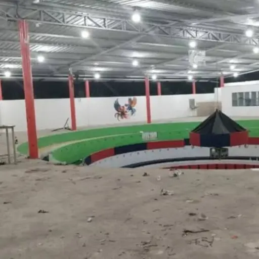 Sentencian a 40 años de prisión a cinco implicados en masacre de gallera en El Carmen
