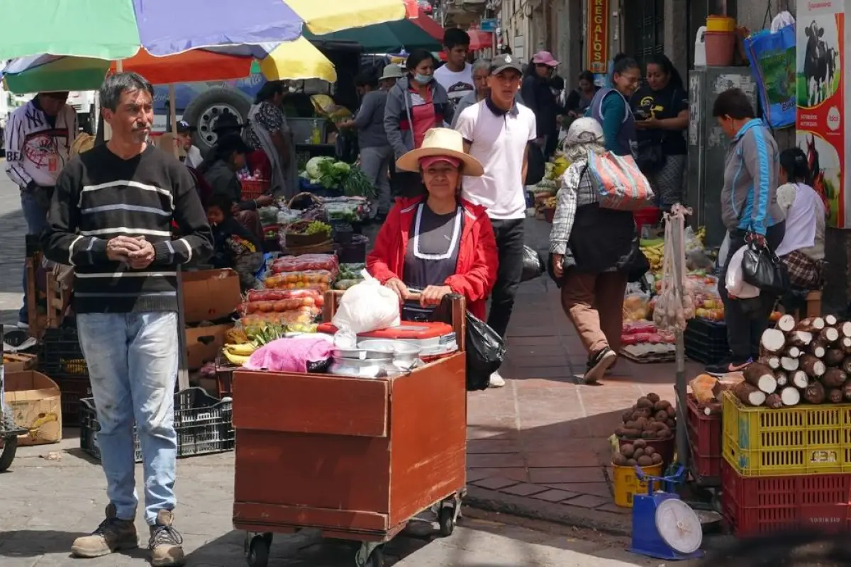 Conave alerta sobre incremento del costo de la canasta básica en Ecuador por nueva disposición del SRI.