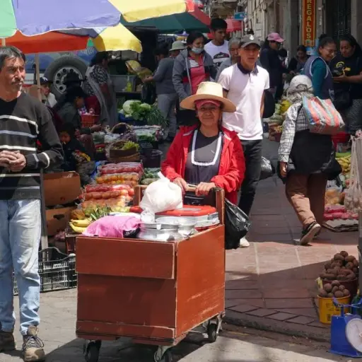 Conave alerta sobre incremento del costo de la canasta básica en Ecuador por nueva disposición del SRI