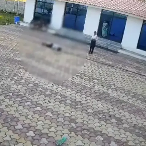 Trabajador de un hotel intentaba ahuyentar a un mono del techo y terminó electrocutado
