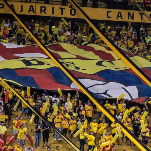 Barcelona SC veta de por vida a hincha por expresiones xenófobas contra el técnico venezolano César Farías