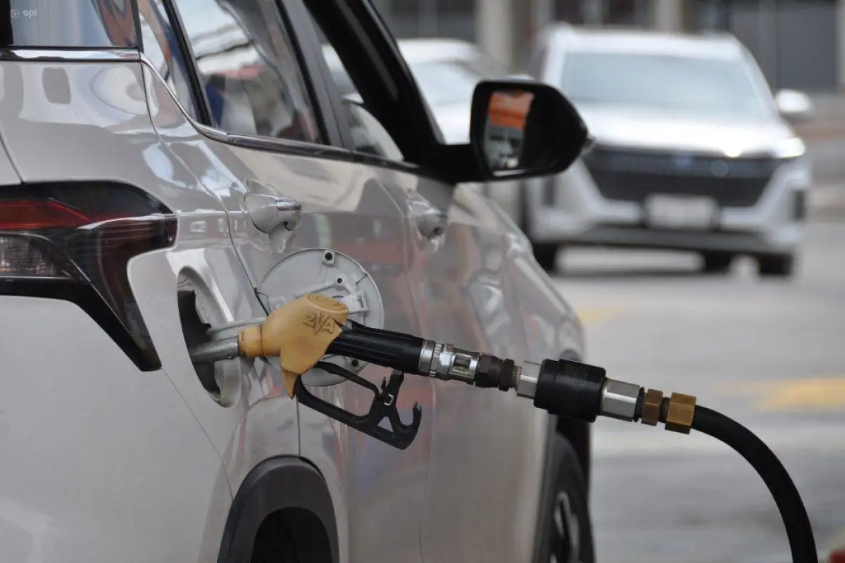 gasolina