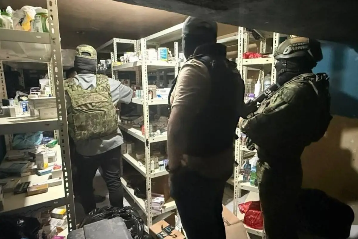 falsificados