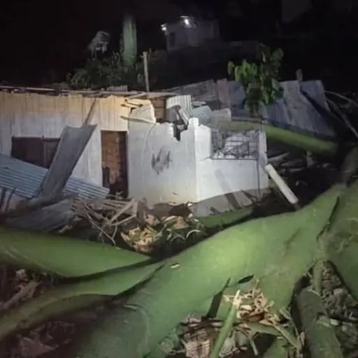 Portoviejo: Caída de un árbol afectó dos viviendas y deja cinco afectados en El Florón 7
