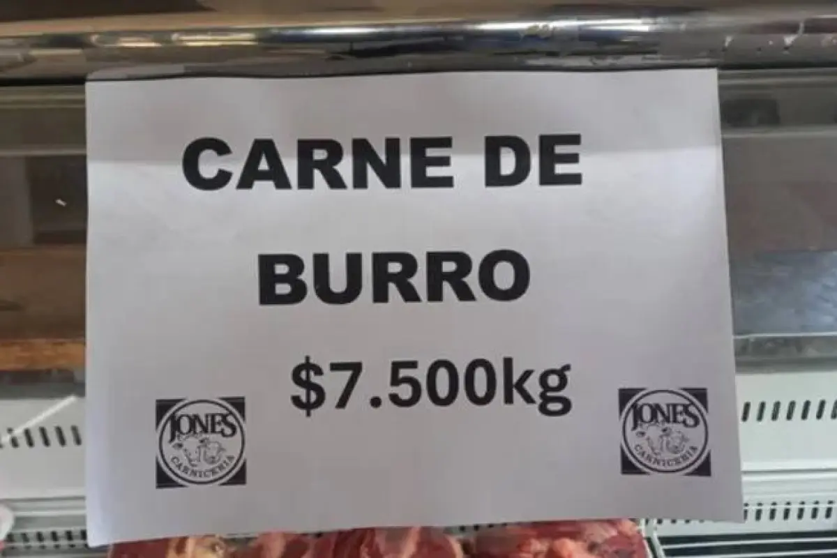 BURRO