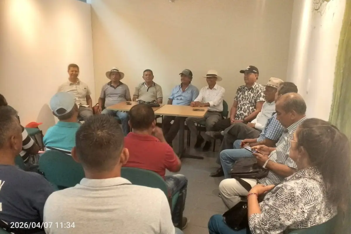 Productores de Manabí analizan impacto de la sequía en cultivos de maíz, producción El Diario