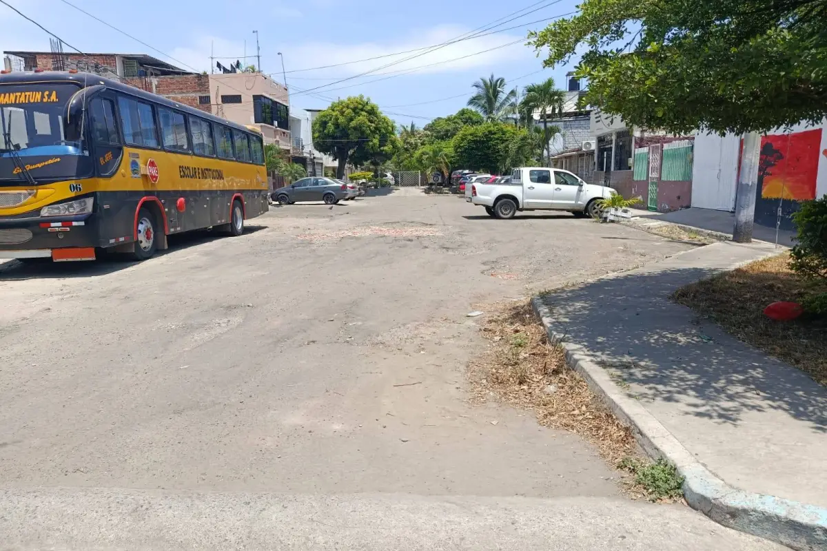 El Palmar: un oasis verde que espera respuestas de la alcaldía., El Diario
