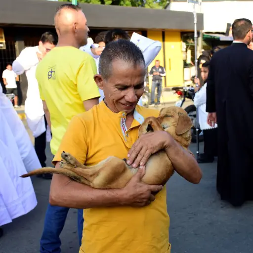 Un hombre caminó todo el viacrucis con su perro enfermo en brazos para pedir a Dios por su recuperación
