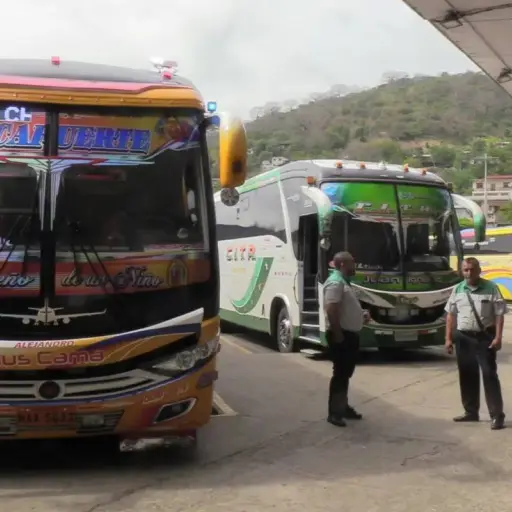Presidente Daniel Noboa extiende las compensaciones a transportistas con el Decreto Ejecutivo 352