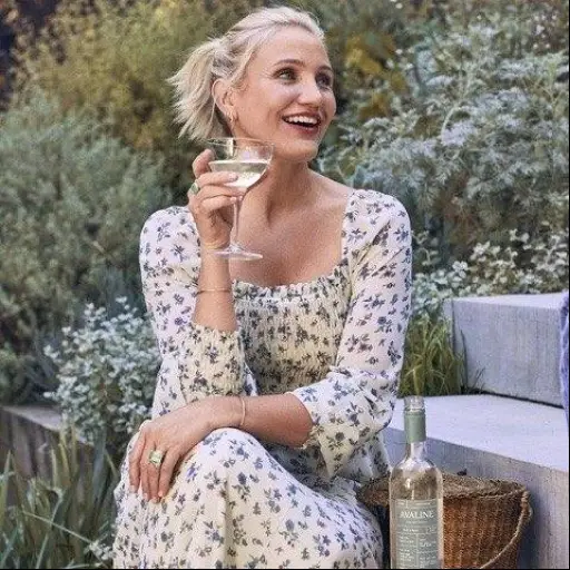 Cameron Diaz volverá al cine con la secuela de Troop Beverly Hills tras más de una década