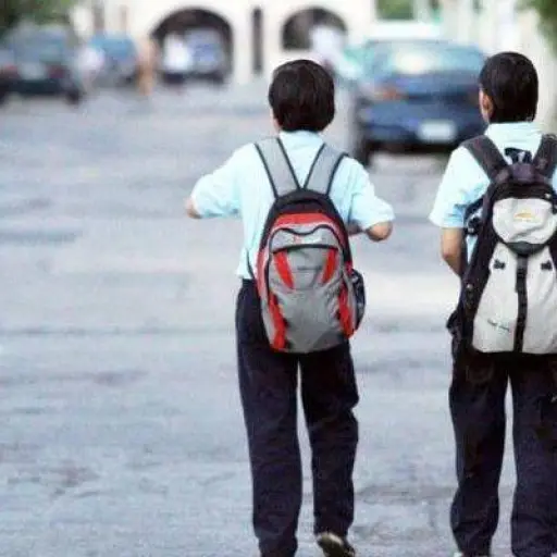 Mochilas pesadas en niños: riesgos para la salud y recomendaciones para reducir la carga