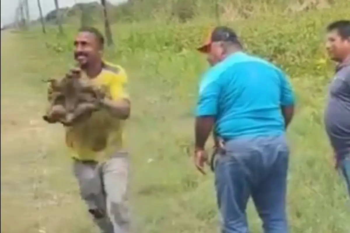 Tortuga