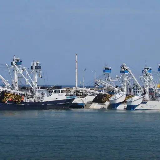 Manta, flota atunera: potencia mundial con una deuda pendiente en modernización