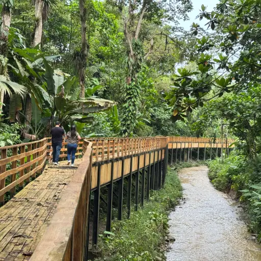 Entre árboles, aves y caminerías, el río Pove, en Santo Domingo, comienza a recuperar su entorno natural 
