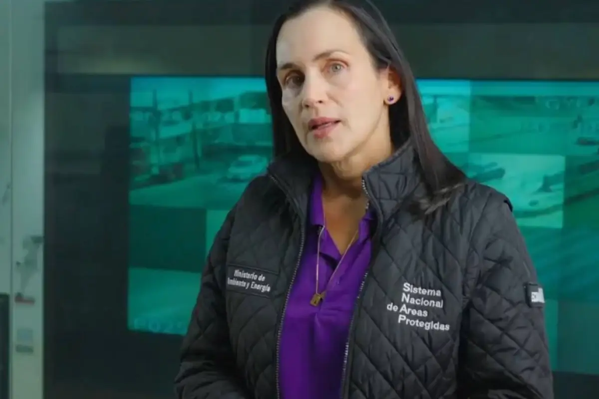 Inés Manzano digirió, por el lapso de 20 meses, el fusionado Ministerio de Ambiente y Energía. , Foto: Ministerio de Energía