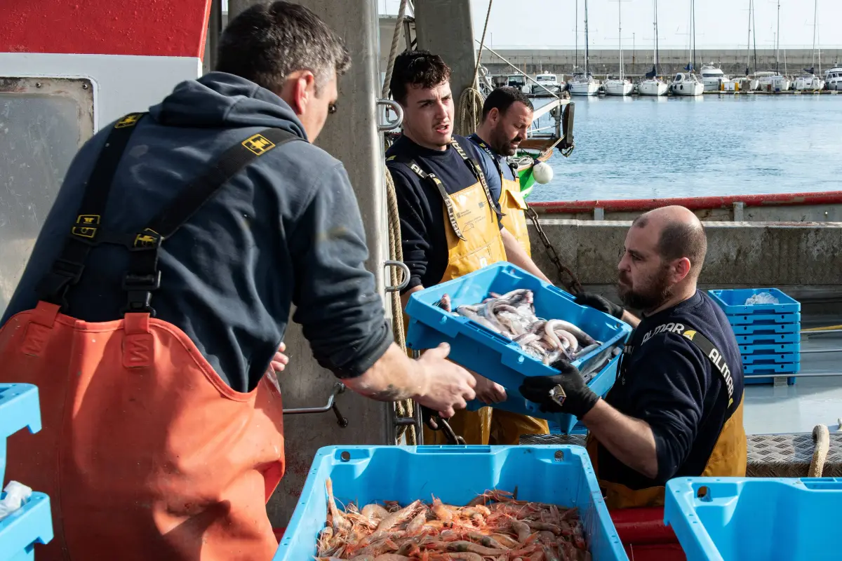 Varios pescadores recogen la pesca del día, a 10 de marzo de 2026, en Palamós, Girona, Catalunya, España