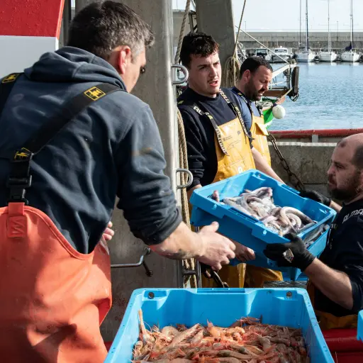Constatan avances contra la sobrepesca pero alertan de recuperación “lenta” de las poblaciones