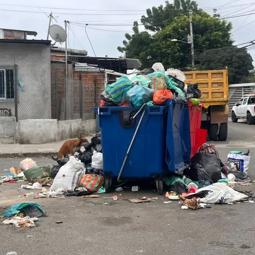 Basura en las calles pese a la contingencia