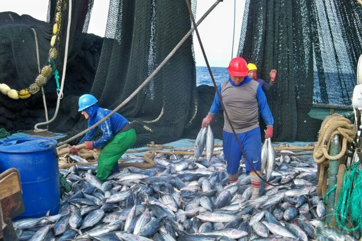 ATUN