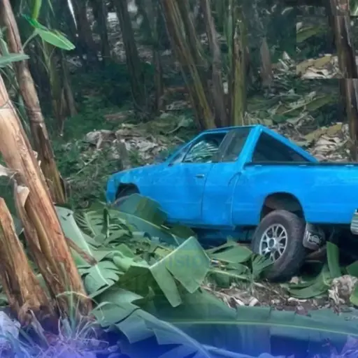 Madre e hija fallecen en accidente de tránsito en El Guabo, provincia de El Oro