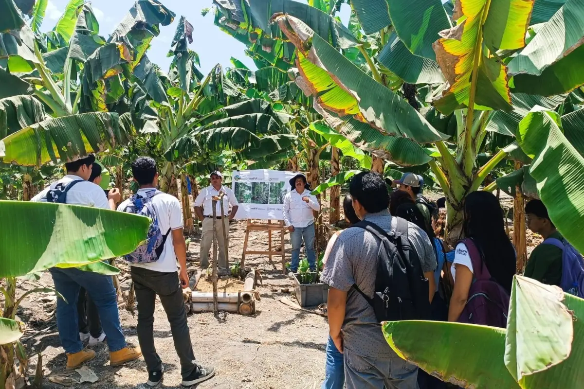 En el día de campo participaron estudiantes de la Uleam., El Diario