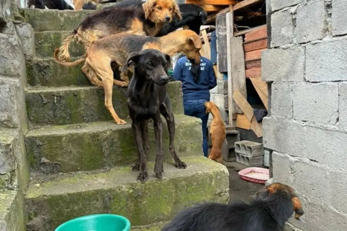 Ecuador