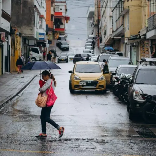 Cambios en licencias por calamidad doméstica en Ecuador: Esto propone una asambleísta para la Losep y otro cuerpo legal