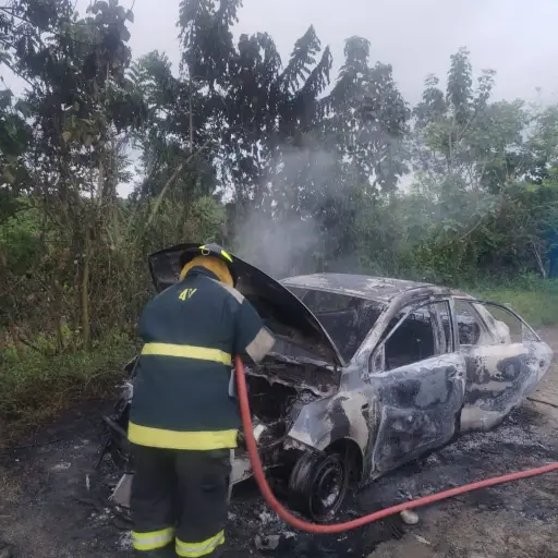 Misterio en El Carmen: Hallan vehículo incinerado y sin rastro de sus ocupantes en San Luis de Cajones