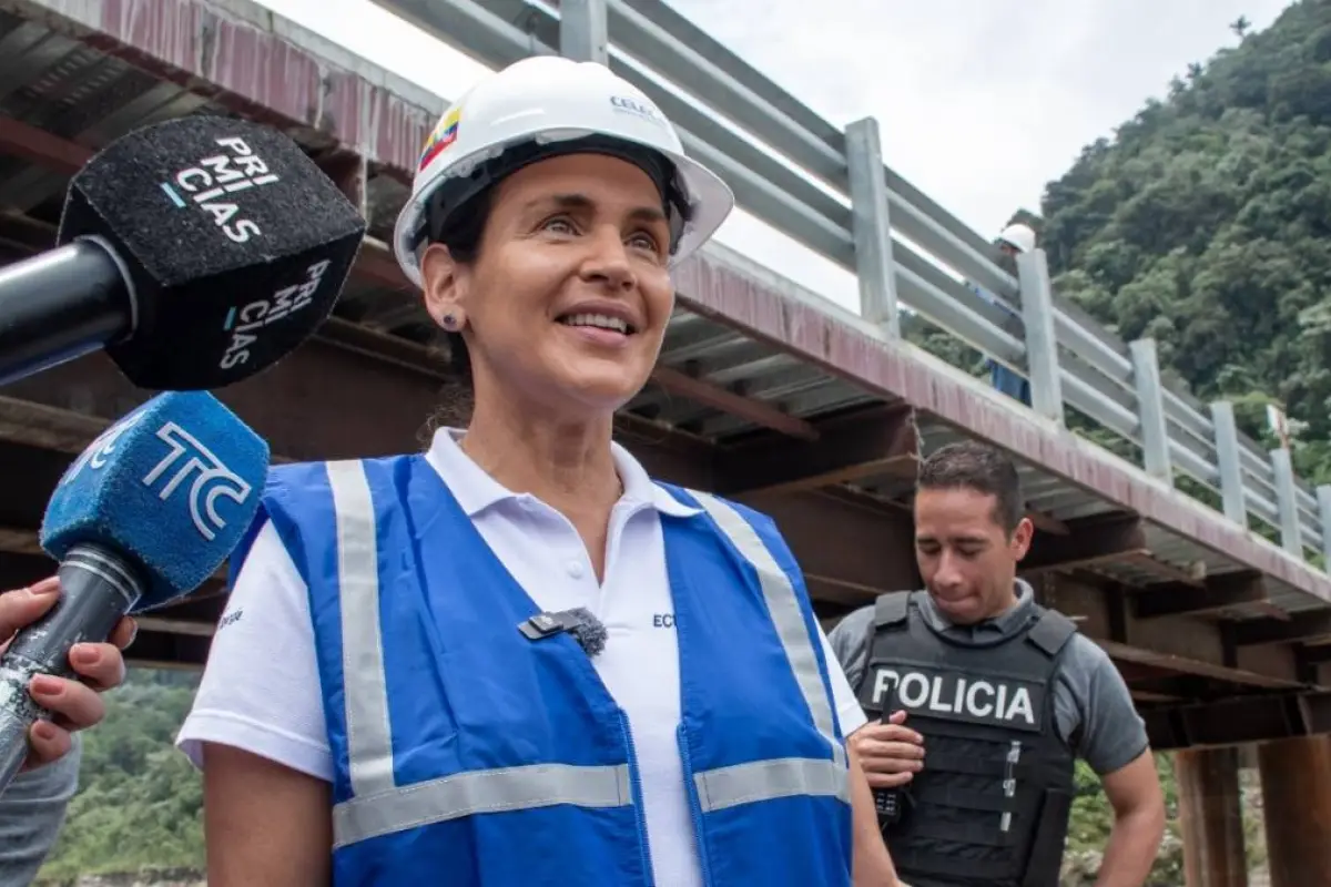 Ministra Inés Manzano desmiente designación como embajadora y anuncia retiro del servicio público.