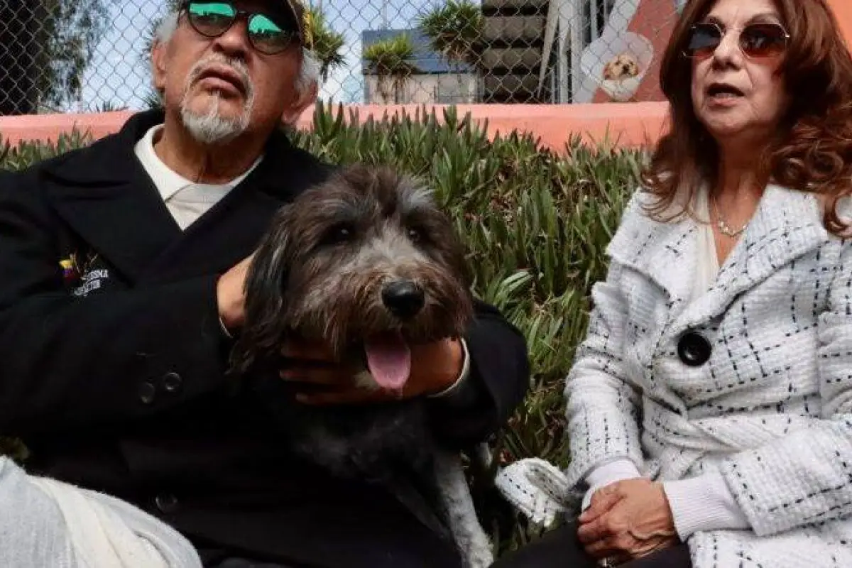 Rescates en Quito transforman la vida de más de un centenar de animales