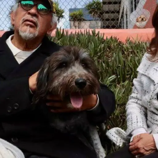 Rescates en Quito transforman la vida de más de un centenar de animales