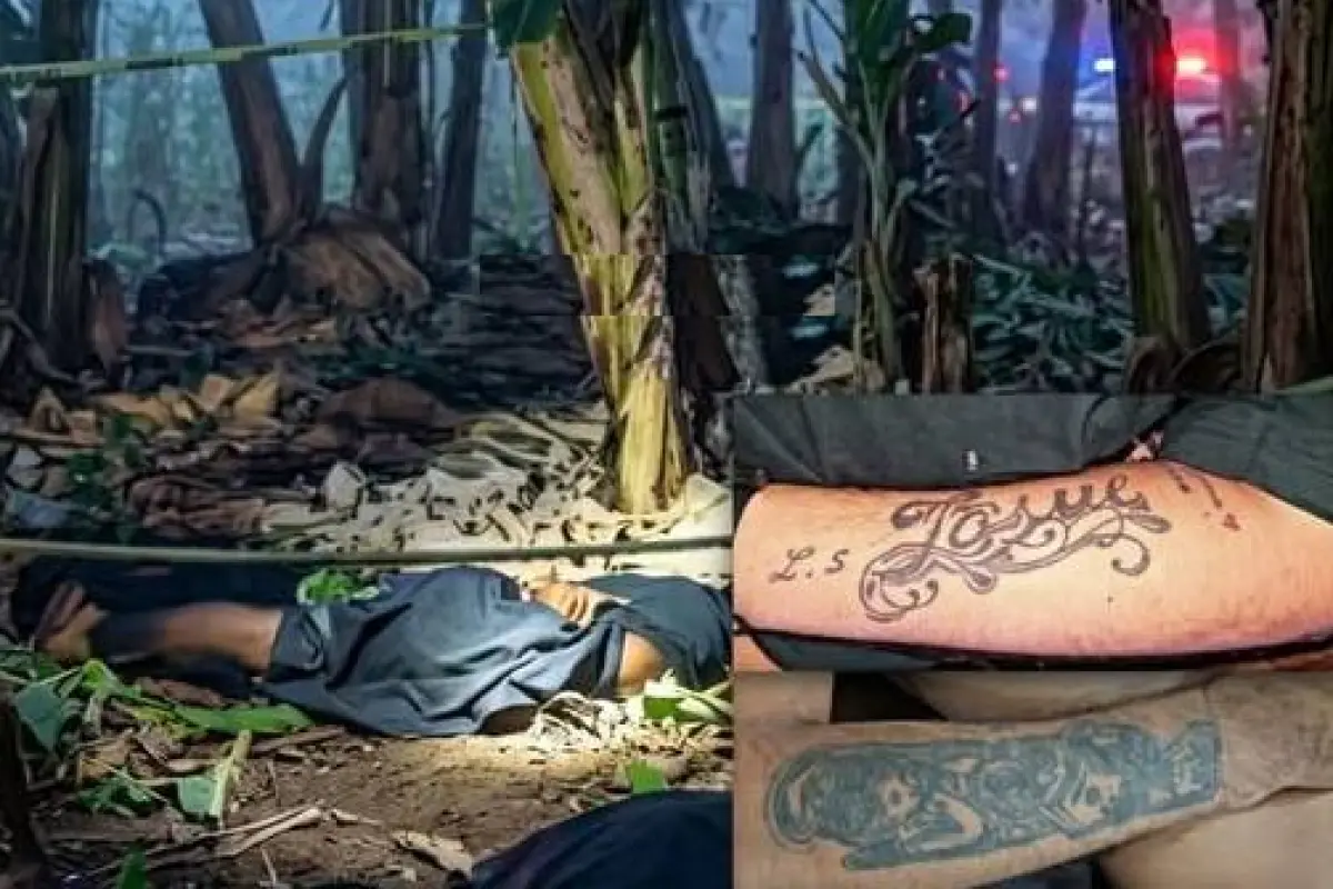 Policía investiga doble homicidio en parroquia Guare, sector La Cancagua, Redes Sociales