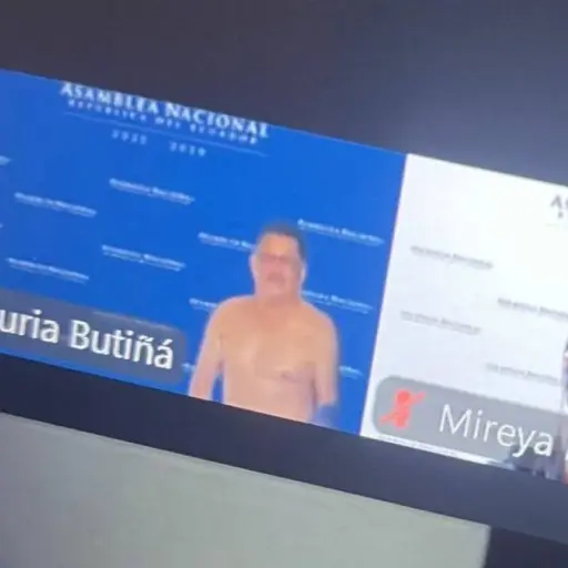 Se registran un incidente en la conexión virtual de la asambleísta Nuria Butiñá durante una sesión del Legislativo