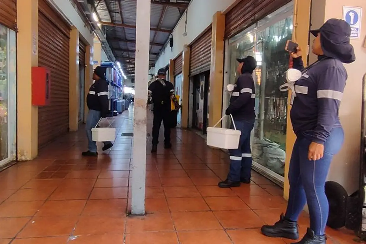 Alcaldía de Guayaquil ejecuta campaña de desratización en la Bahía tras detectar más de 500 madrigueras