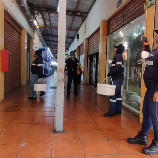 Más de 500 focos detectados: así avanza la desratización en uno de los sectores más transitados de Guayaquil