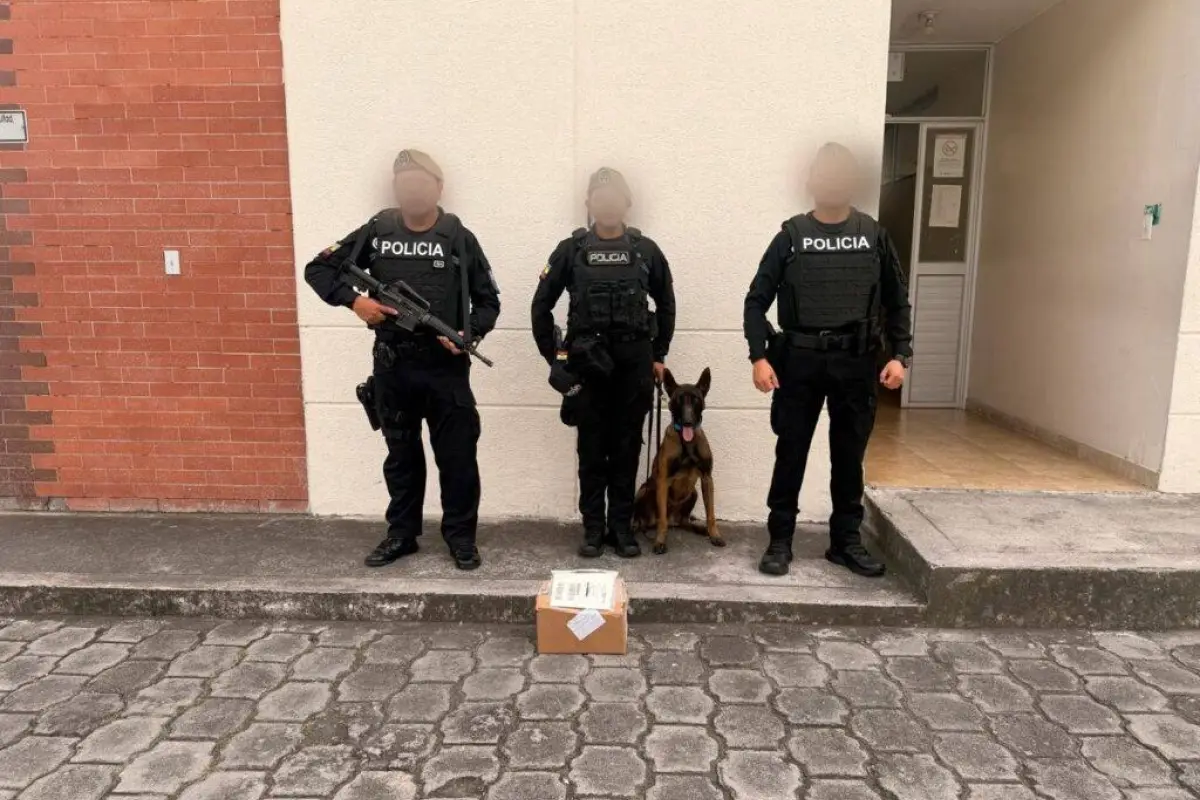 Operativo en Quito evita tráfico de droga camuflada en encomienda hacia Europa