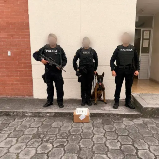 Operativo en Quito evita tráfico de droga camuflada en encomienda hacia Europa